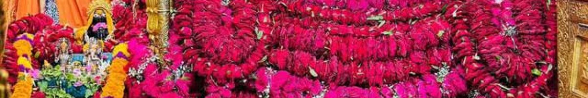 101996580497308986829 