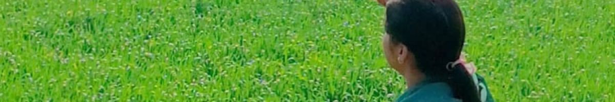 117276554606252749571 