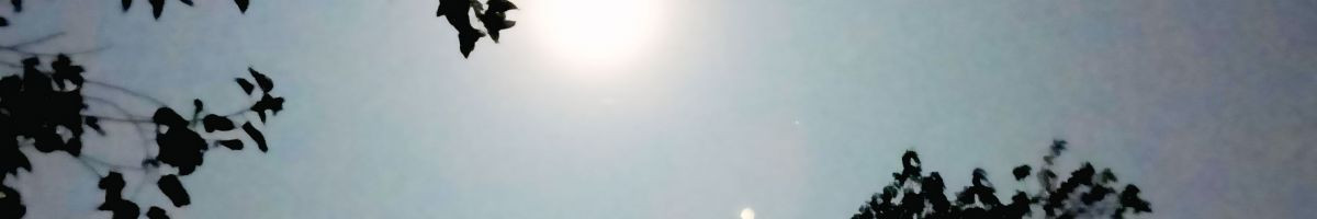 Ravi_thakur0822