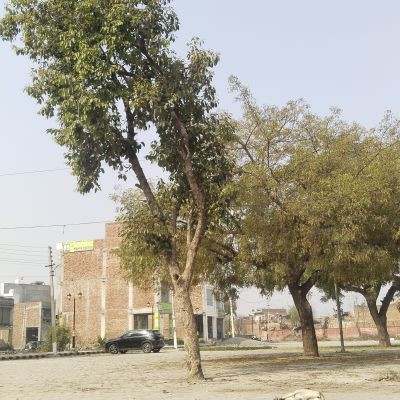 105210846441098848421 