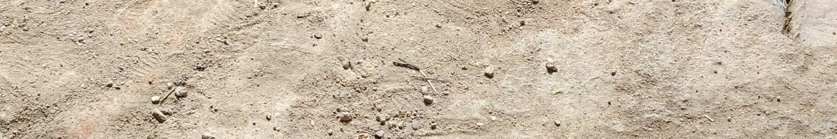 108320095513231859481 