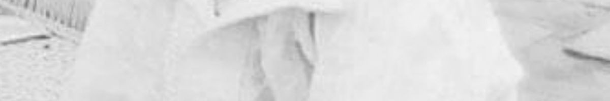 110513605688347163394 