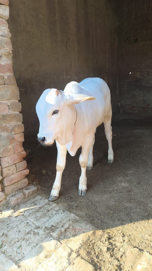 video_20260120_190404