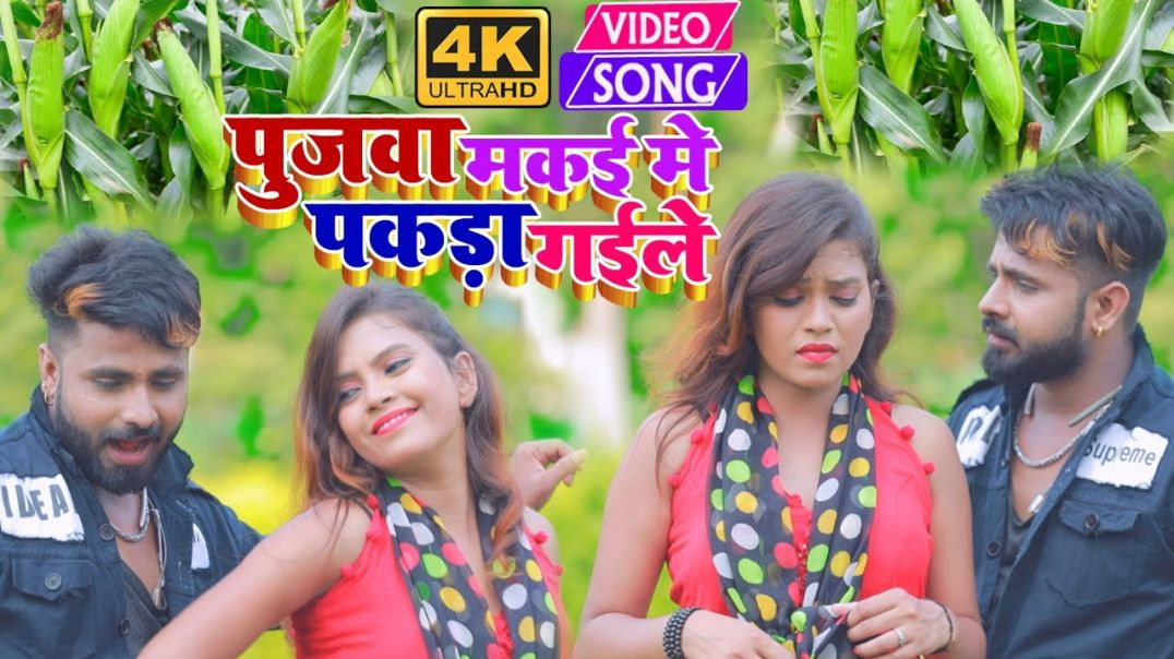 ⁣#video || Pujwa Makai Me Dhara Gaile || पुजवा मकई में धरा गईले || Narayan Shetty #bhojpuri Video