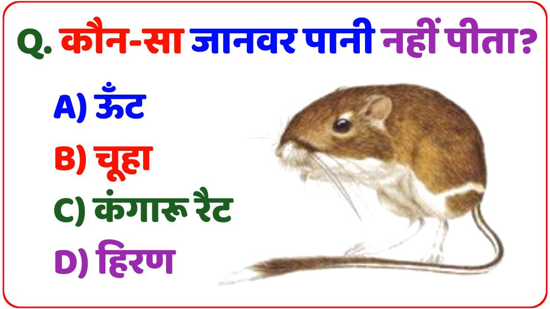 ⁣Top  GK Question 🤔💥|| GK Question ✍|| GK Question and Answer #gk #bkgkstudy #gkinhindi Part-2