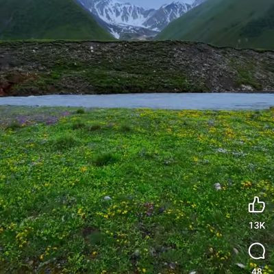 106159431687398396537 