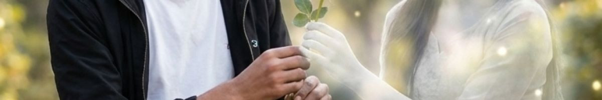 24369b888