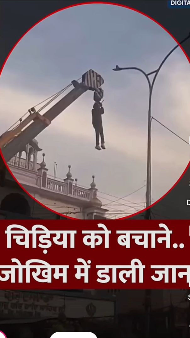 #news ek chidiya ke liya gba di jan