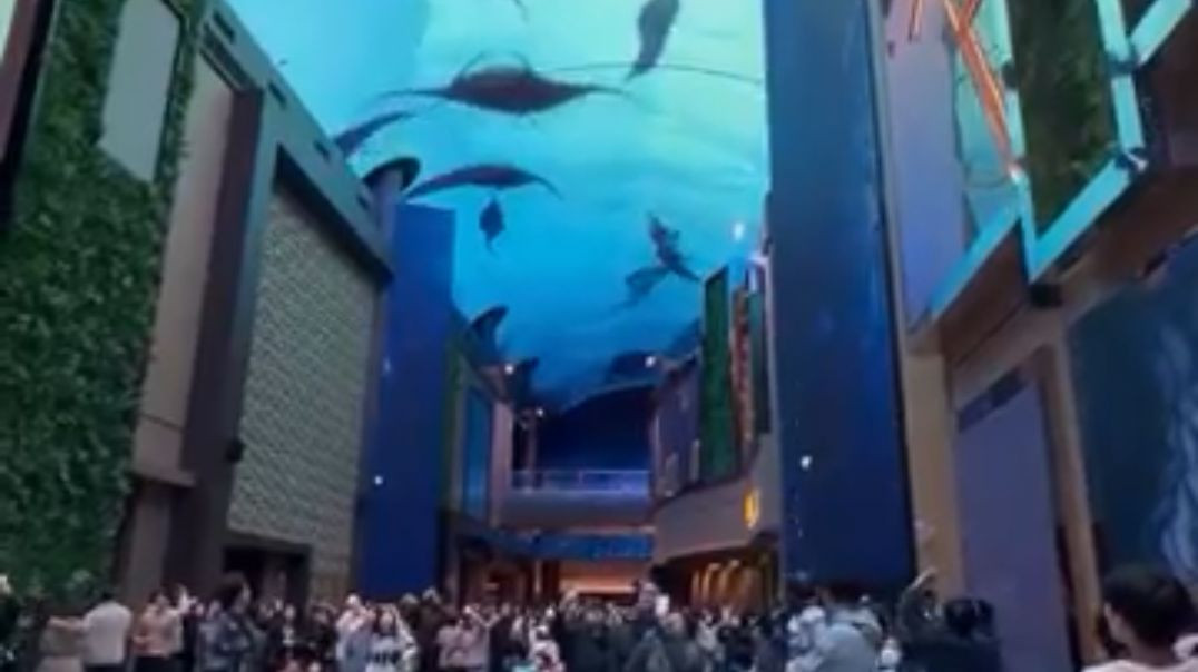 ⁣Ye Mall Pani Ke Andar Lagta Hai 😲 | Underwater Ceiling