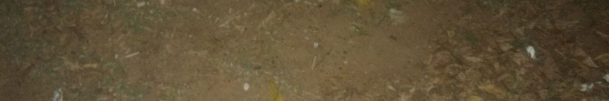 AiChimpStories-14 AiChimpStories-14