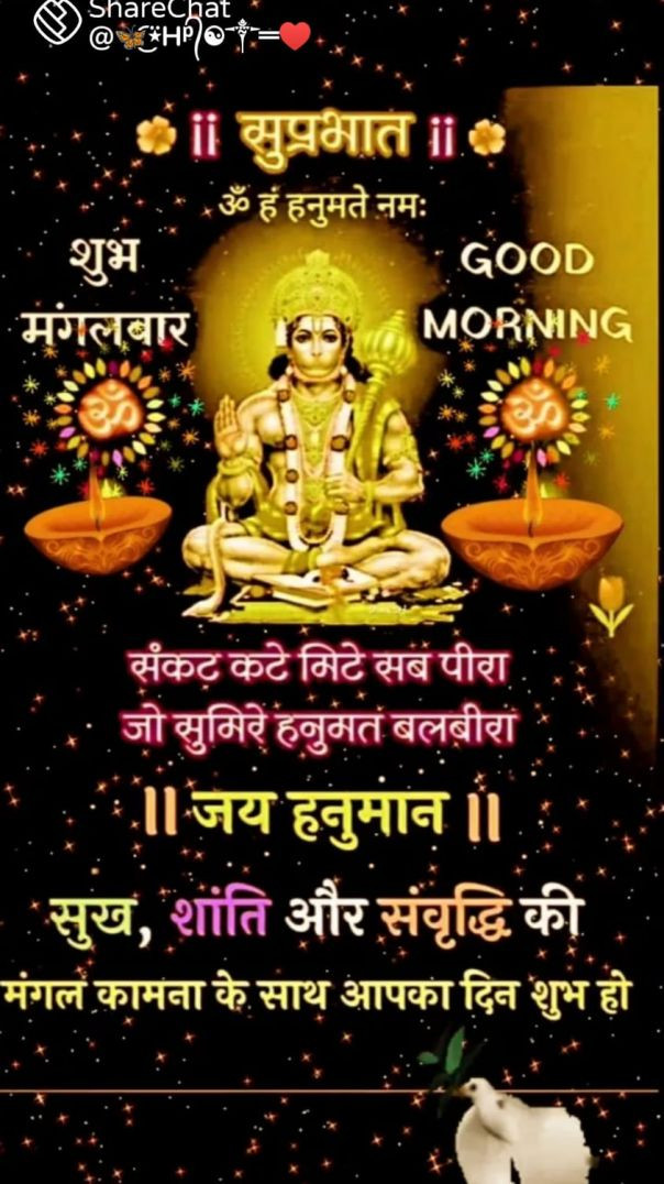 rahiltarekar-20251226-0001