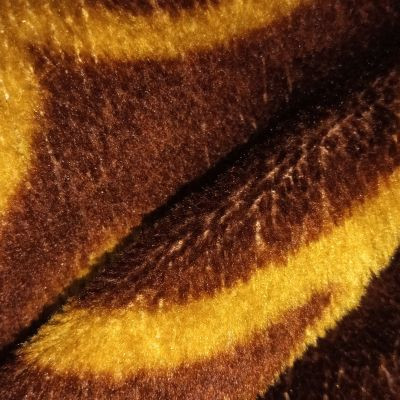 115131486487592645263 