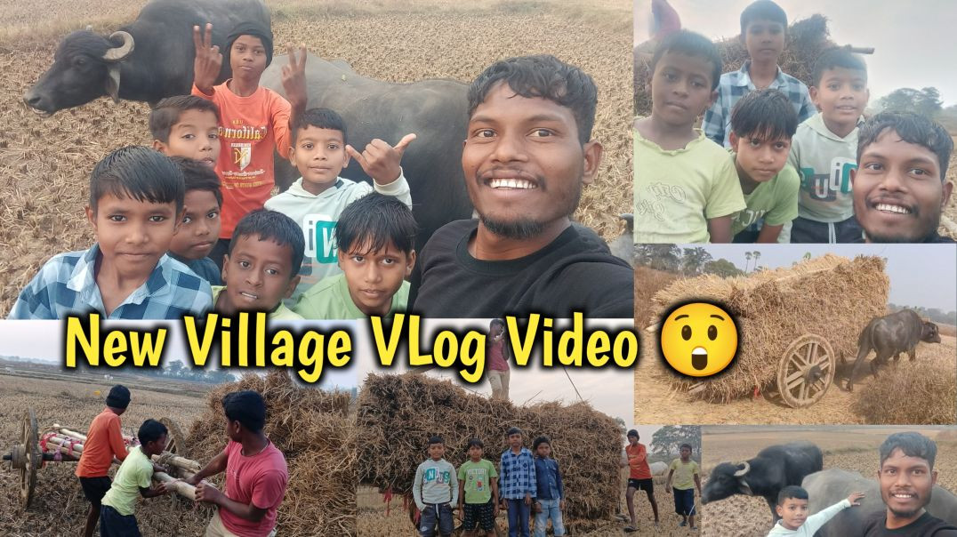 ⁣Farmer life | Village blog video