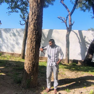 116890645078545685664 