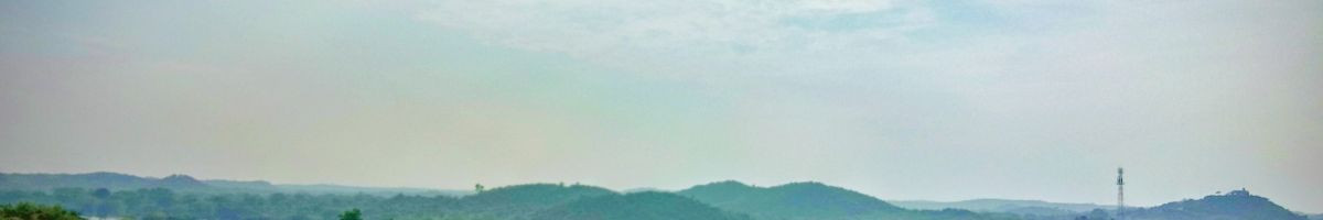 funny__shorts funny__shorts