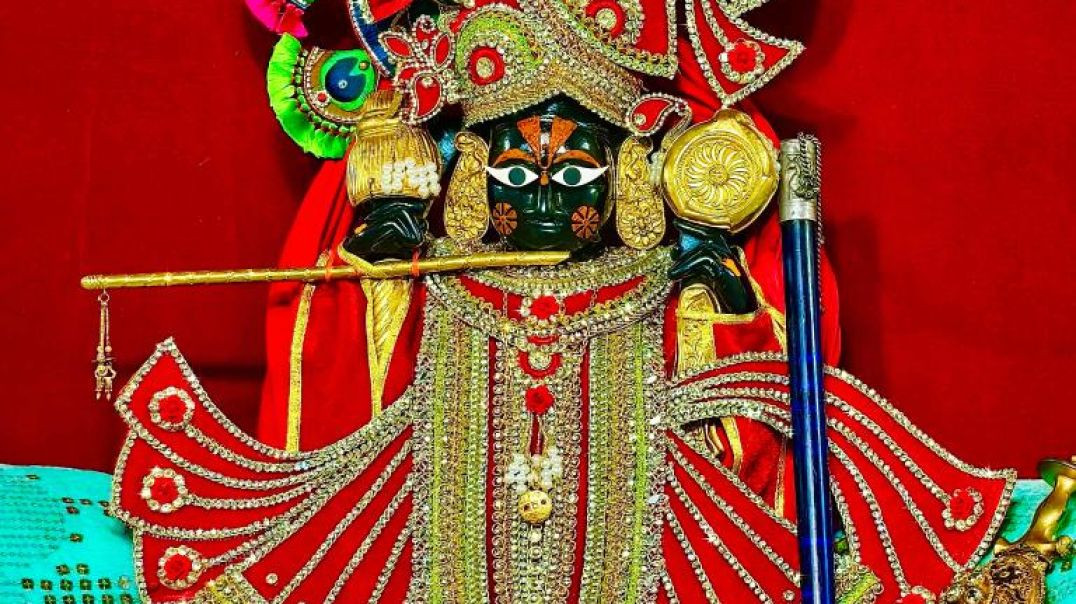 ⁣जय सवारियां सेठ,💯✅  #trending #viral #reelsinstagram #explorepage #sawariya