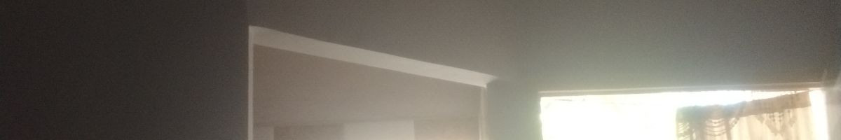 116829593702982098920 