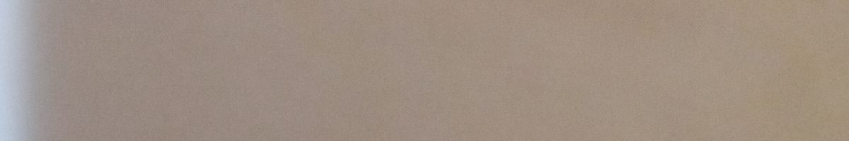 singhthakur singhthakur