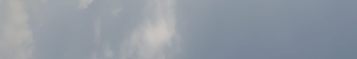 105592157090824975725 