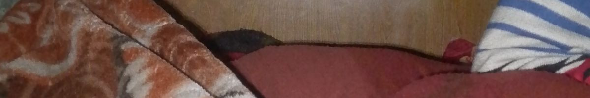 Biharicraze Biharicraze