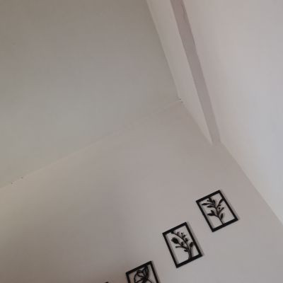 PoojaSingh PoojaSingh