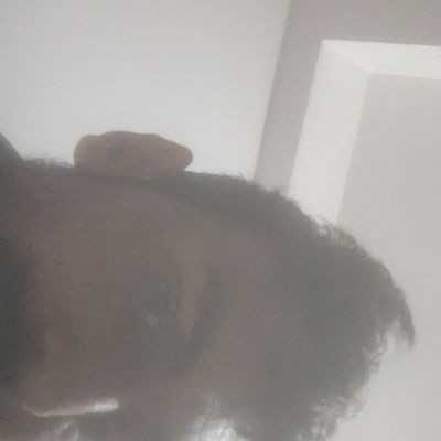 103816429352311486816 