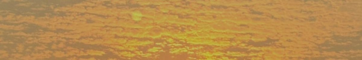 114850025891312531567 