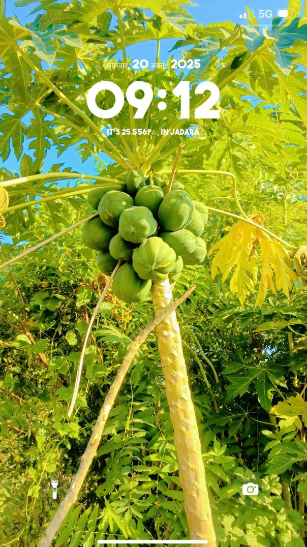 mAst lite_vvcvideo_1761047832583