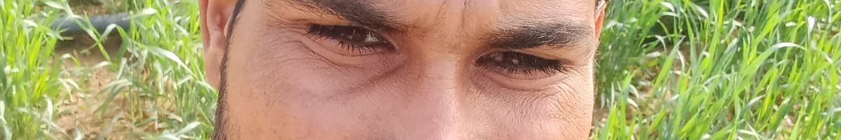 meghwanshi123 meghwanshi123