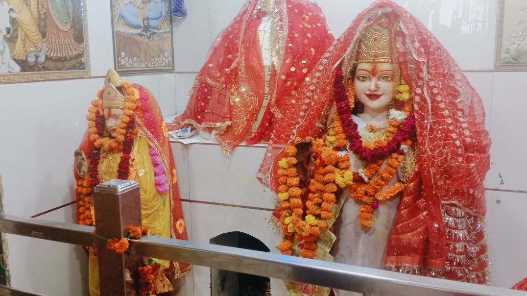 श्री गणेश 🙏 वंदना श्लोक पाठ 🙏🪔 नित्य प्रतिदिन सुबह-शाम स्मरणीय