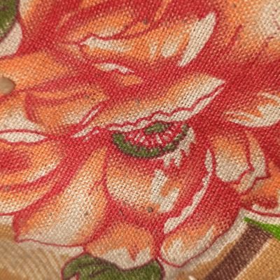 106868781632672486117 