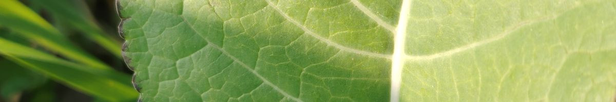 106623163939156636595 