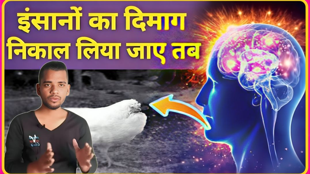 ⁣Can a person survive if their BRAIN is REMOVED? || Bina Dimag kya insan zi sakta hai || AC Prashant