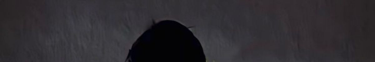 mahakal_status_video_1313