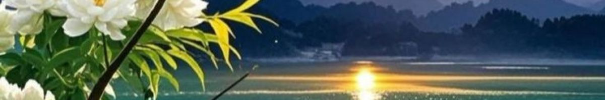 116086184683756111168 