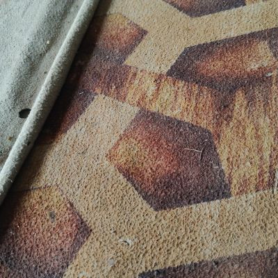 103049619679624333334