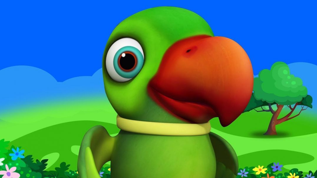 ⁣Main Tota Hindi Rhyme _ Children Hindi Rhyme _ मैं तोता मैं तोता _ Cartoon Galaxy_ Hindi Rhyme(1080P