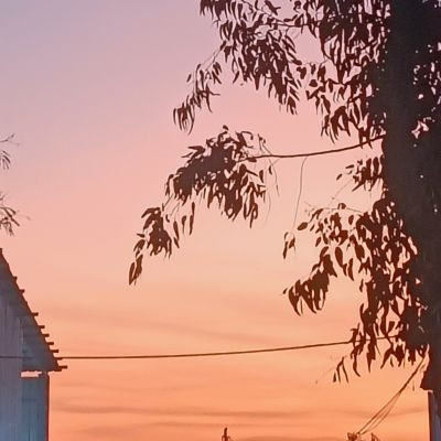 101303107704400560120 