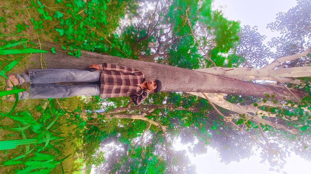 VID_20260106_045133_822