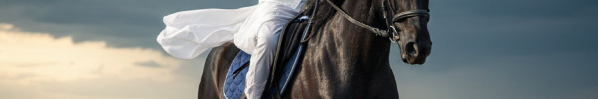 113272094398738616472 