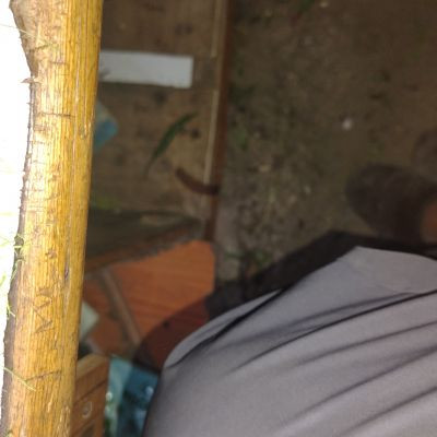 pawangodara9 pawangodara9