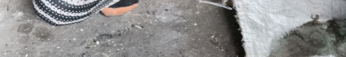 113201366473670513728 