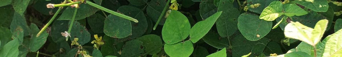 114565106180553052369 