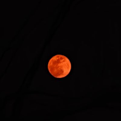 102743812711271721987 