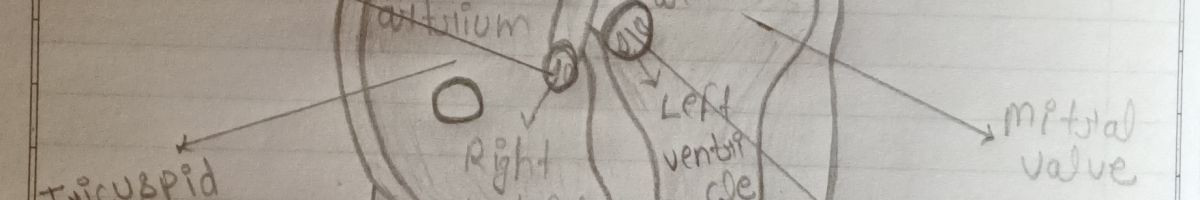 110304614789665821968 