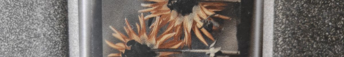 109530527635321006597 