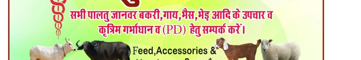 Ashokparihar8976