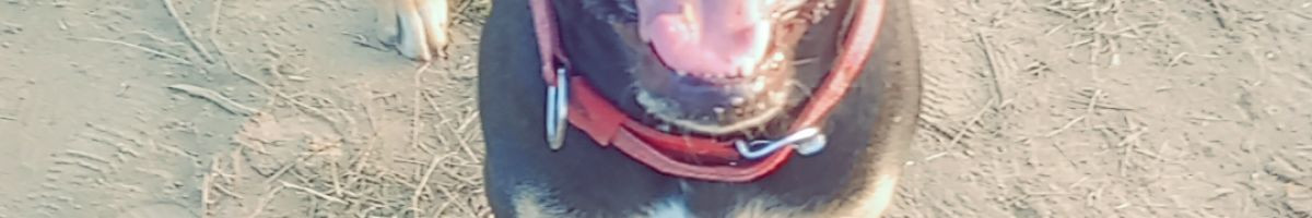 100605058619543395086 