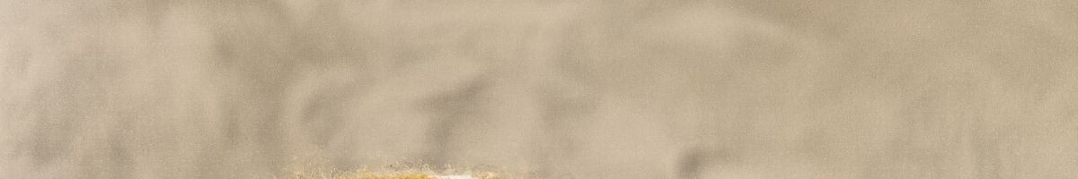 108071450032411046989 