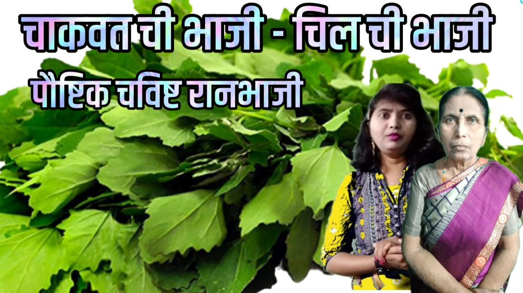 चिलची भाजी | चाकवत ची भाजी कशी बनवावी